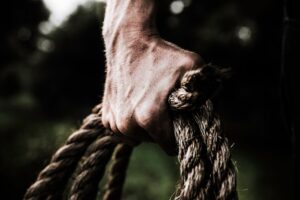 pexels-photo-1458696-1458696.jpg